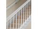 Carpeted staircase with white railings at 650 Crane Prairie Way, Osprey, FL 34229