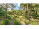 Lush green backyard with palm trees and grasses at 9291 Swaying Branch Rd, Sarasota, FL 34241