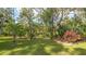 Landscaped backyard with a variety of plants and trees at 9291 Swaying Branch Rd, Sarasota, FL 34241