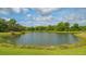Serene lakefront view with lush greenery at 9291 Swaying Branch Rd, Sarasota, FL 34241