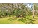 Lush backyard with mature palm trees and lush landscaping at 9291 Swaying Branch Rd, Sarasota, FL 34241