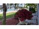 Vibrant pink flowers in a large planter by the pool at 1570 Pleasant Rd # J-26, Bradenton, FL 34207