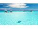 Boats anchored in crystal-clear turquoise water with a stingray swimming at 1570 Pleasant Rd # J-26, Bradenton, FL 34207