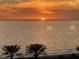 Stunning sunset over the ocean with palm trees in the foreground at 1241 Gulf Of Mexico Dr # 708, Longboat Key, FL 34228
