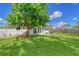 Large backyard with grassy lawn and mature tree providing shade at 3442 Fairview Dr, Sarasota, FL 34239