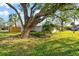 Landscaped backyard with large oak tree at 2382 Spring Oaks Ct, Sarasota, FL 34234