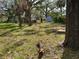 Vacant lot with mature trees and grassy area at 4125 Old Bradenton Rd, Sarasota, FL 34234