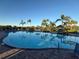 Resort-style swimming pool surrounded by palm trees and lounge chairs, perfect for relaxation and recreation at 5719 Woodland Sage Dr, Sarasota, FL 34238