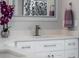 Bathroom vanity featuring modern faucet, white cabinets, and a decorative mirror at 7317 Crape Myrtle Way, Sarasota, FL 34241
