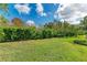 Private backyard with hedge for privacy at 144 Pescador Pl, Nokomis, FL 34275