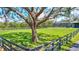 Backyard with large oak tree, fenced area and screened pool at 29205 Saddlebag Trl, Myakka City, FL 34251