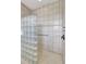 Walk-in shower with glass block wall and grab bar at 29205 Saddlebag Trl, Myakka City, FL 34251