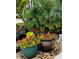 Colorful flowers in large decorative pots at 6517 Oregon St, Bradenton, FL 34207