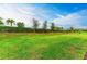 Landscaped backyard with lush lawn and privacy hedge at 14132 Campfire Ct, Parrish, FL 34219