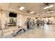 Well-equipped gym featuring various weight machines and free weights at 14132 Campfire Ct, Parrish, FL 34219