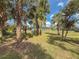 Large backyard with lush landscaping and palm trees at 1661 Atwater Dr, North Port, FL 34288