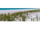 Close-up view of beach grass growing on white sand at 5861 Gulf Of Mexico Dr, Longboat Key, FL 34228