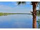 Calm river view with palm trees at 10209 Discovery Ter, Bradenton, FL 34212