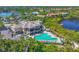 Aerial view of a community pool with plenty of chairs, umbrellas, and palm trees at 10209 Discovery Ter, Bradenton, FL 34212