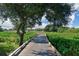 Wooden boardwalk path through lush landscape towards a home at 10209 Discovery Ter, Bradenton, FL 34212