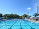 Olympic-size swimming pool with lanes at 2415 Floyd St, Sarasota, FL 34239