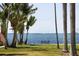Scenic view of calm water with palm trees at 4511 Bay Shore Rd, Sarasota, FL 34234