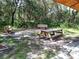 Wooden picnic table and benches shaded by trees at 4517 Streamside Ct # 1905, Sarasota, FL 34238