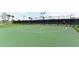 An outdoor basketball court surrounded by a black fence with green and palm trees, offering a great space for recreation at 6771 Wild Lake Ter, Bradenton, FL 34212