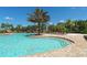 Relaxing resort-style pool with lounge chairs and palm trees at 6771 Wild Lake Ter, Bradenton, FL 34212