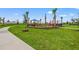 playground with playset and surrounding palm trees at 15511 Sunny Day Dr, Lakewood Ranch, FL 34211