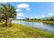 Scenic view of the tranquil lake with lush green lawn and palm trees in the landscape at 17802 Eastbrook Ter, Lakewood Ranch, FL 34202