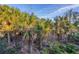 View of backyard with numerous palm trees at 294 Hidden Bay Dr # 203, Osprey, FL 34229