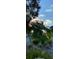 Residential property with palm trees and a clear sunset sky at 3218 Ramblewood N Dr # 19C2, Sarasota, FL 34237