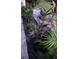 Landscaped area with tropical plants at 3218 Ramblewood N Dr # 19C2, Sarasota, FL 34237