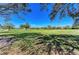 Expansive green space with mature trees offering a serene and picturesque view at 6205 Triple Tail Ct # 101, Lakewood Ranch, FL 34202