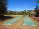 Community shuffleboard courts surrounded by trees, ideal for leisurely outdoor activities at 6205 Triple Tail Ct # 101, Lakewood Ranch, FL 34202