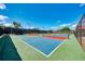 Well-maintained pickleball courts at 1509 Raphis Royale Blvd, Englewood, FL 34223
