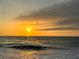 Silhouetted birds fly against a vibrant sunset over the ocean at 3711 Pinecone Ct # 168, Sarasota, FL 34238