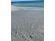Footprints and seashells on a pristine sandy beach at 3711 Pinecone Ct # 168, Sarasota, FL 34238