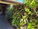 Landscaped walkway leading to the front door at 3711 Pinecone Ct # 168, Sarasota, FL 34238