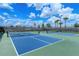 Two well-maintained pickleball courts, ready for play at 15625 San Lazzaro Ave, Bradenton, FL 34211