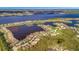 Aerial view of waterfront community with lush landscape at 1258 Riverscape St # A, Bradenton, FL 34208