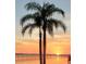 Stunning waterfront sunset framed by palm trees, offering a tranquil escape at 2107 Palma Sola Blvd # 94, Bradenton, FL 34209