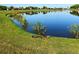 Gator on the golf course near the water at 335 River Enclave Ct, Bradenton, FL 34212