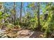 Lush, natural backyard with mature trees and vegetation at 1717 Pelican Cove Rd # 334, Sarasota, FL 34231