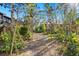 Pathway through a wooded, natural area with trees at 1717 Pelican Cove Rd # 334, Sarasota, FL 34231