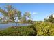 Landscaped waterfront view with lush greenery at 1717 Pelican Cove Rd # 334, Sarasota, FL 34231