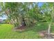 Landscaped backyard with lush tropical plants and a screened patio at 6023 Wingspan Way, Bradenton, FL 34203
