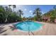 Resort-style pool with palm trees and lounge chairs at 4134 Central Sarasota Pkwy # 1734, Sarasota, FL 34238