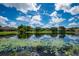 Scenic view of a lake with lily pads and houses reflecting in the water at 6227 Blue Runner Ct, Lakewood Ranch, FL 34202